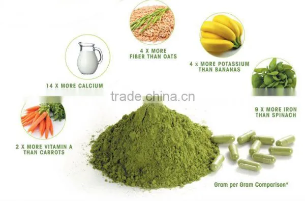 Moringa Leaf Powder
