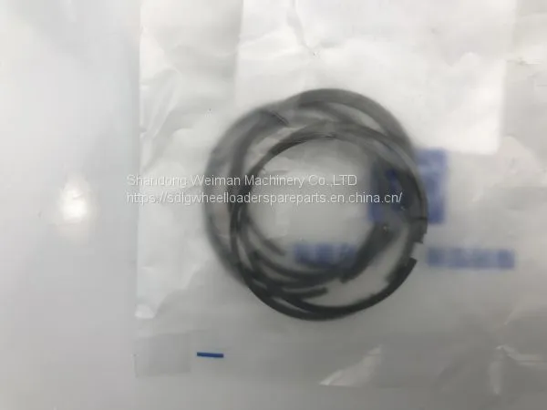 Original ZF 4WG200 Transmission Gearbox Spare Parts 0734 401 106 PISTON RING photo-2