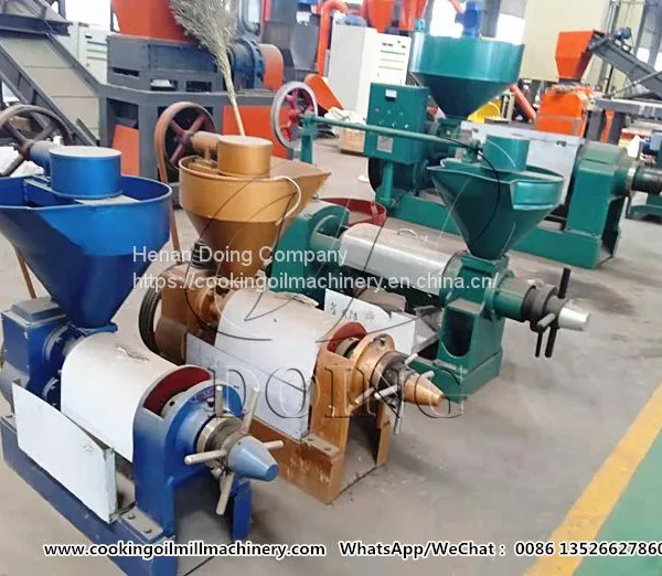 Single Screw Soybean Oil Press photo-2