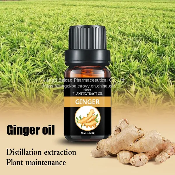 Wholesale Ginger Essential Oil Pure Ginger Oil 100% of the Natural Oil for Spa