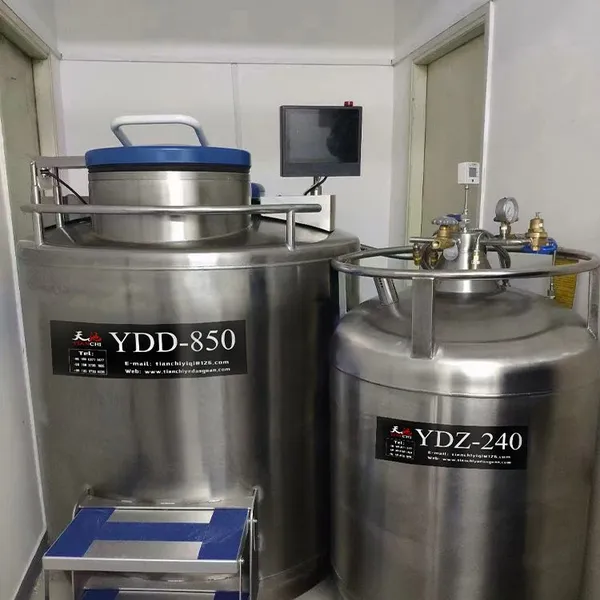 Thailand Filling Liquid Nitrogen Tank KGSQ Liquid Nitrogen Refrigerator photo-3