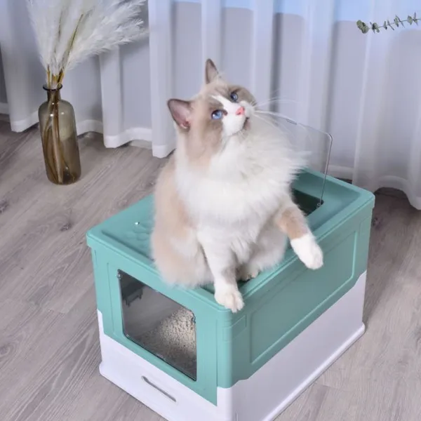 Cat Litter Box