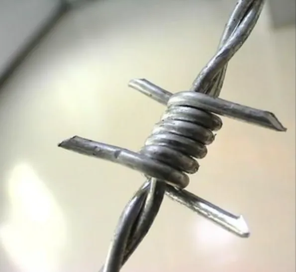 Galvanized Barbed Wire Coil PVC Coated Iron Steel Barbed Wire Galvanized