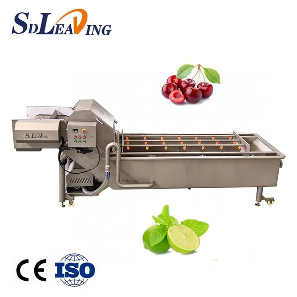 Air Bubble Washing Machine Used for Vegetable Fruit Cleaning Chicken Washing Cleaning Machine Frozen Food Machine photo-3