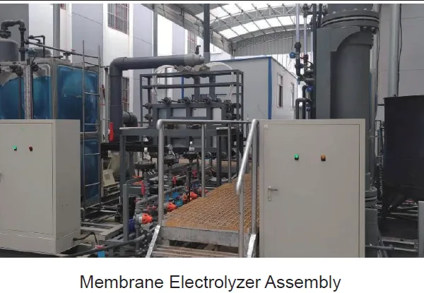 High Concentration Electrolytic NaClO Generator for Food Processing Sanitization photo-3