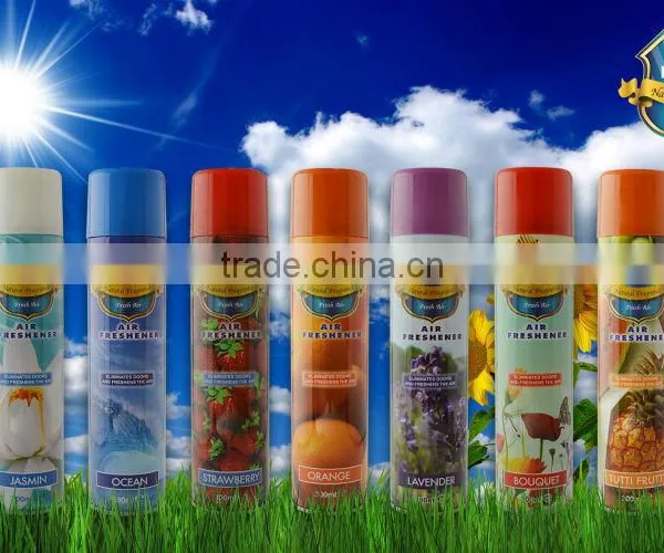 Dry Air Freshener photo-3