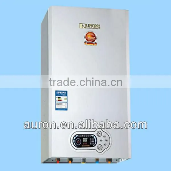 CE Gas Boiler for Iron Market