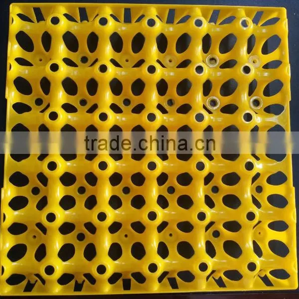 Clear Plastic Egg Tray for Transportation, Turning and Washing photo-2