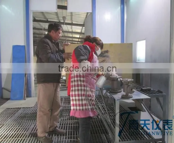 Kaifeng Qingtainweiye Flow Meter Shanghai photo-4