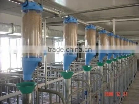 Pig Raising Equipment