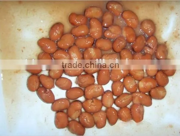 Canned Broad Beans, Canned Broad Beans in Brine for Sale photo-2