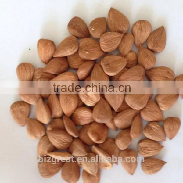 Supply With Chinese Bulk Sweet Apricot Kernels With 8% Bitter Taste With Good Quality for Sales photo-2