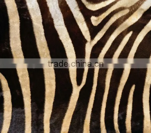 Digital Printed Glass