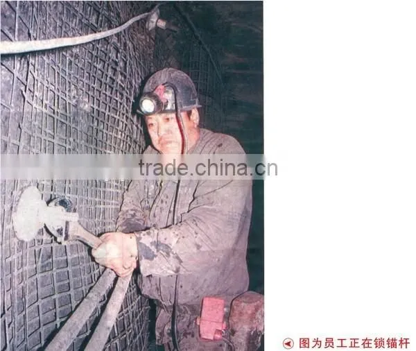 China Plastic Tensile Net photo-6