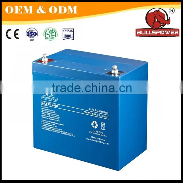 Advanced Technology Lithium Ion Battery Manufacturers for Golf Car Battery photo-5