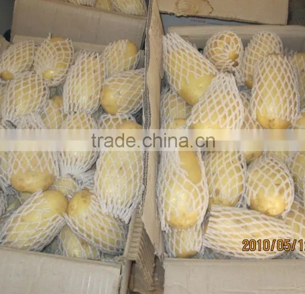 New Crop Fresh Potato