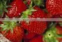 Freeze Dried Strawberries in Freeze Dried Strawberries N.W820g