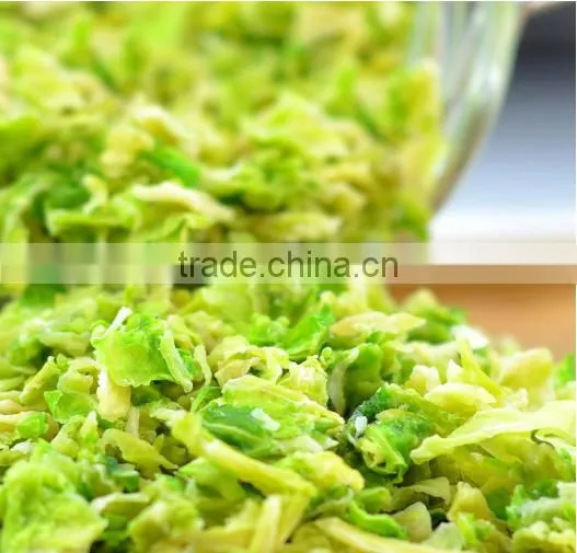 Hot Product Dehydrated Cabbage Hot Selling Products in China photo-3