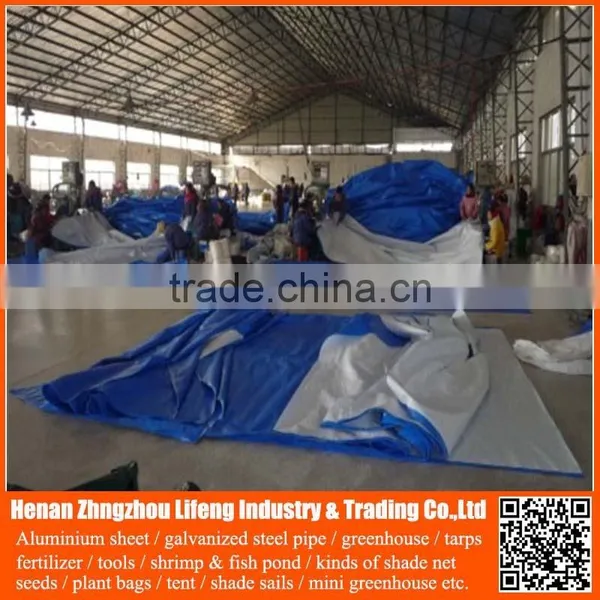 Hdpe Tarp for Roof Cover , Low Tarp Price Plastic Tarp Sheet for Tent Cover , Cheap Tarps pe Tarpaulin Sheet photo-6