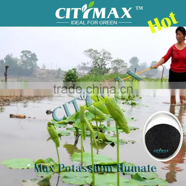 Nature Potassium Humate Fertilizer for Plant