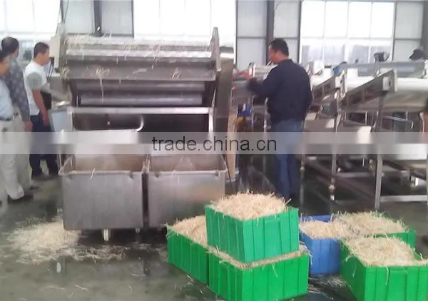 Hot Sale Vegetable Bubble Washing Machine/bean Sprout Washer Machine/bean Washing Machine photo-2