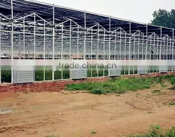 Commercial Greenhouse photo-2