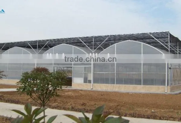 BLD Large Multi-span Plastic Film Green House and Commercial Green House for Plant Growth photo-5