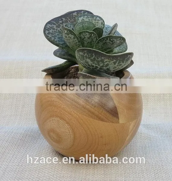 Sphere Succulent Air Plant Planter Wood photo-4