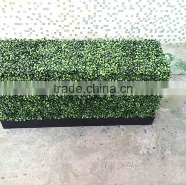 High Quality Plastic Artificial Boxwood Hedge Green Wall photo-4