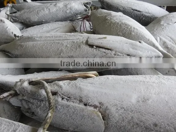 2016 Super Frozen Fish Skipjack Tuna 1.8kg up photo-3