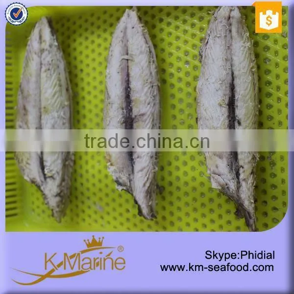 China Bonito Tuna Loin Buyer photo-2