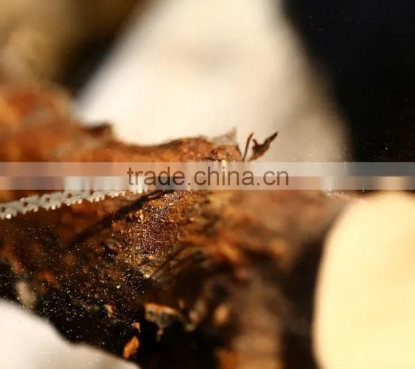 Emergency Carbide Windshield Breaker Tool Multifunction Shovel photo-6
