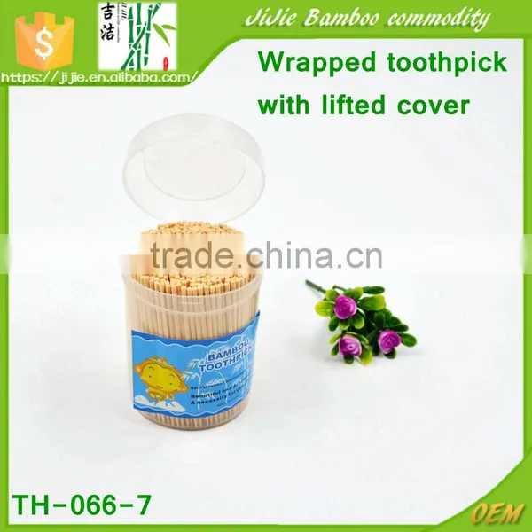 TH-066 Wrapped Toothpick With Lifted Cover Toothpick in Bulk for Party