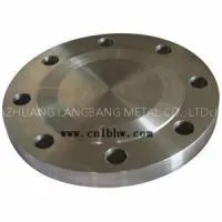 BL Forged Flange Factory Supplier