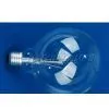 G80 Global Bulb