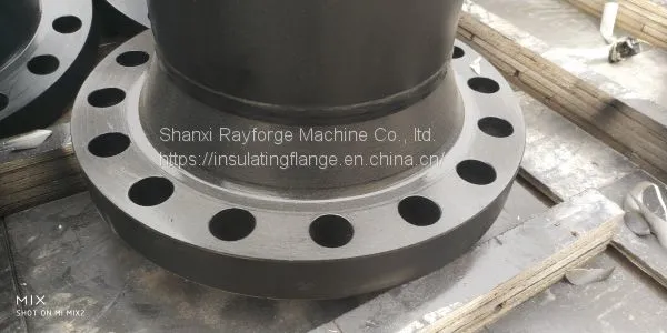 Forging Flange