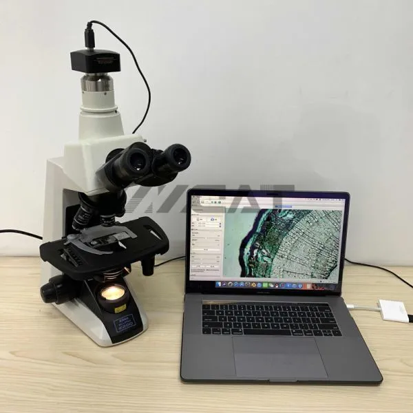 Focusable 0.35X 0.55X Microscope Camera Adapter C Mount Adapter for Nikon Trinocular Microscope photo-5