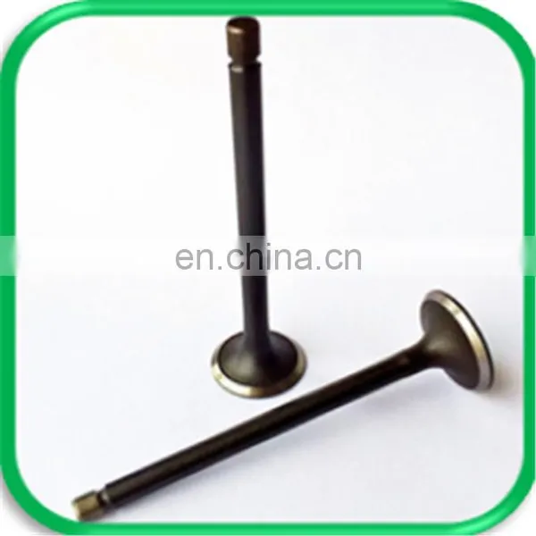 Cross-country Spare Parts Engine Valve for Izuzu Bighorn Ubs69 4XJ1 4JG2 4ZE1 photo-2