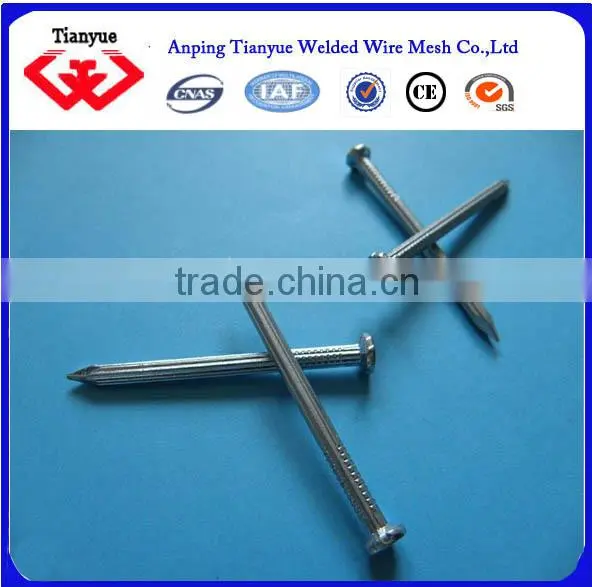 Stainless Steel Nails Manufacturer(15 Years Export Experience) photo-2