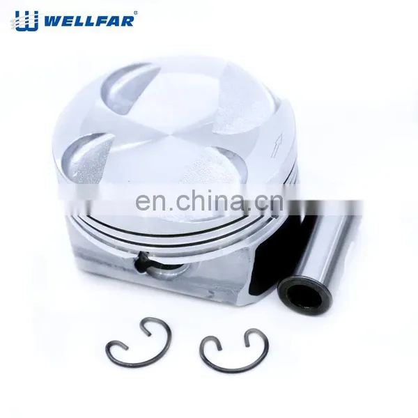 Wellfar Other Auto Parts Piston Engine Parts Pistons for Peugeot photo-5