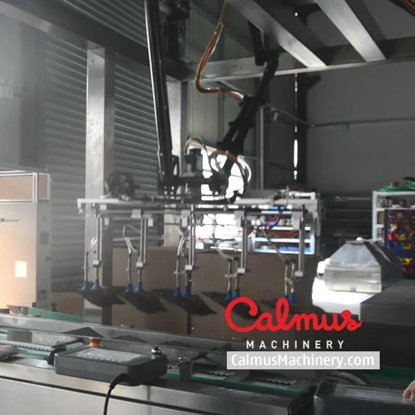 Snack Bags Case Packer Machine and Packaging Line photo-2