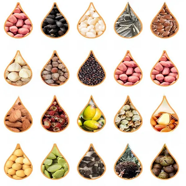 Hydraulic Oil Pressing Machines Cold Press Coconut Olive Sunflower Seed Chia Seed Sesame Flax Soybeans Castor Oil Press Machine photo-2