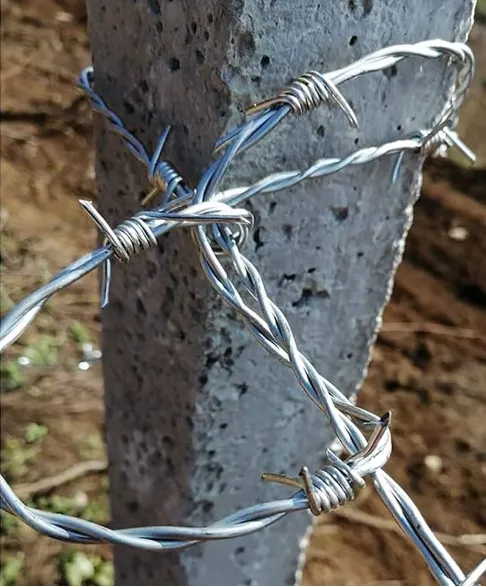 Wholesale Razor Barbed Wire Galvanized Security Razor Wire for Prison Fence photo-2