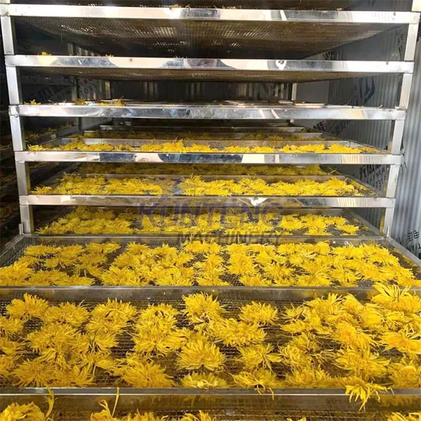 Heat Pump Air Dryer Seafood Herbal Tea Sweet Potato Drying Machine Pap Honey Bee Pollen Dryer Machine EPC photo-3