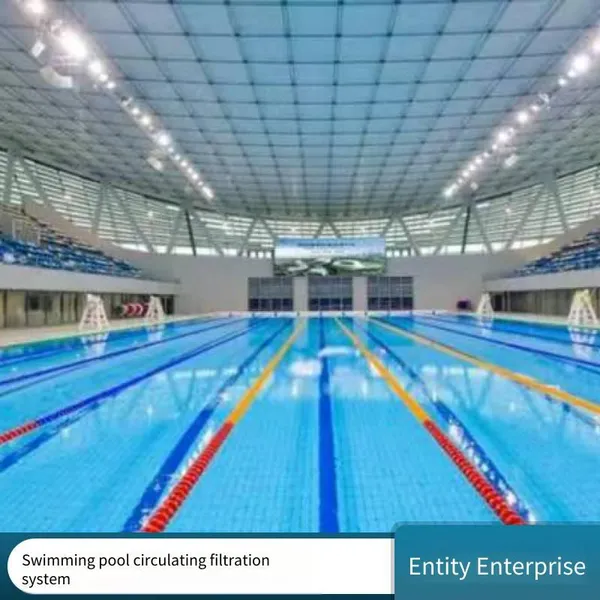 Swimming Pool Water Treatment Equipment, Fully Automatic Circulation Filtration System, Special for Swimming Pool Machine Rooms, Customized Services Available
