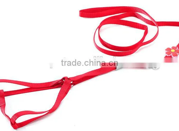 Wholesale New Fluorescent Color Chest Straps High Quality Nylon Pet Harness Leash photo-6