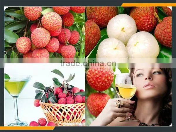 Leader Stainless Steel Longan Fruit Processing Line With CE & ISO photo-6