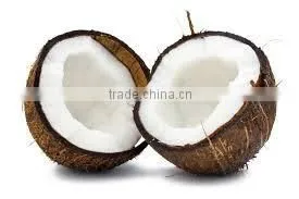 Coconut Production in Pollachi for Exports
