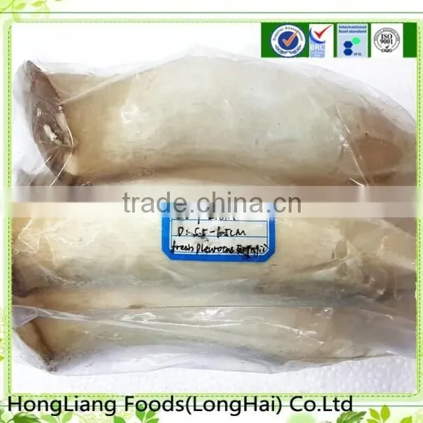 Great Quality Fresh Pleurotus Eryngii