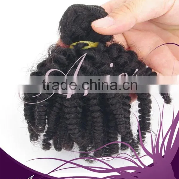 Brazilian Unprocessed Virgin Afro Kinky Curly Human Hair Weft photo-4